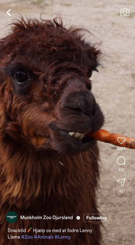 Munkholm Zoo social media video example
